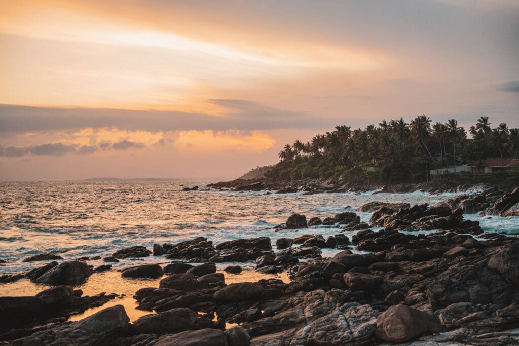 33D6B7D6 E614 4EFB B7E2 EB52224031F3